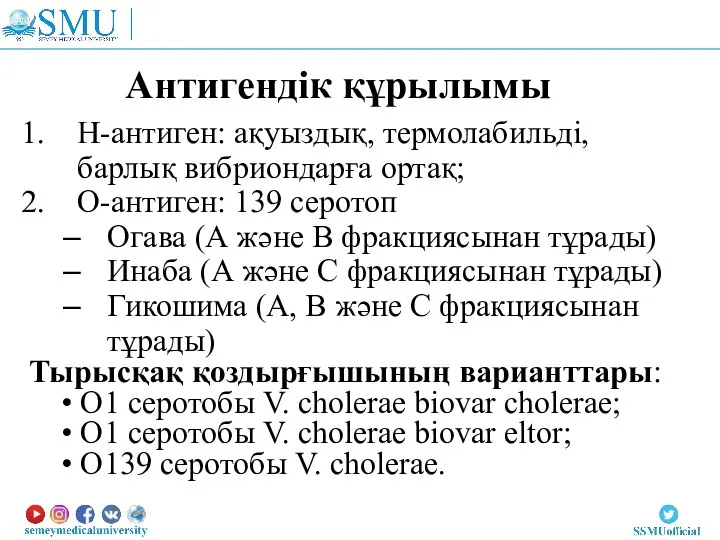 Н-антиген: ақуыздық, термолабильді, барлық вибриондарға ортақ; О-антиген: 139 серотоп Огава (А