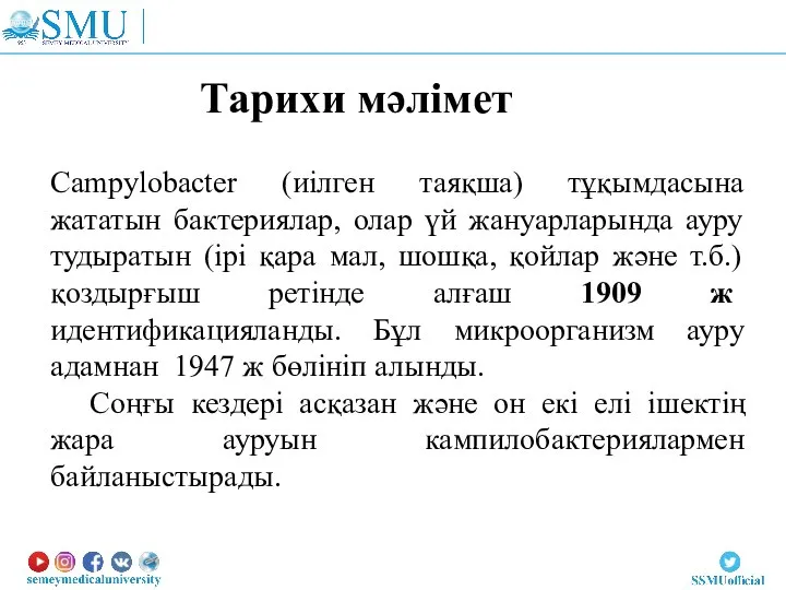 Тарихи мәлімет Campylobacter (иілген таяқша) тұқымдасына жататын бактериялар, олар үй жануарларында