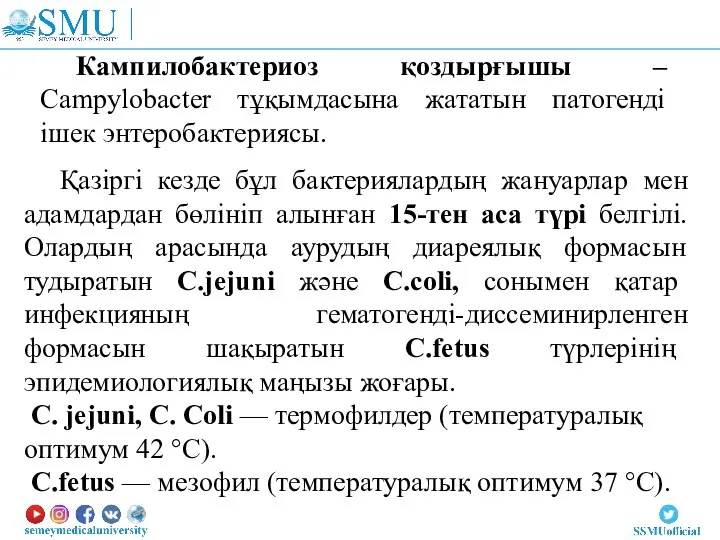 Кампилобактериоз қоздырғышы – Campylobacter тұқымдасына жататын патогенді ішек энтеробактериясы. Қазіргі кезде