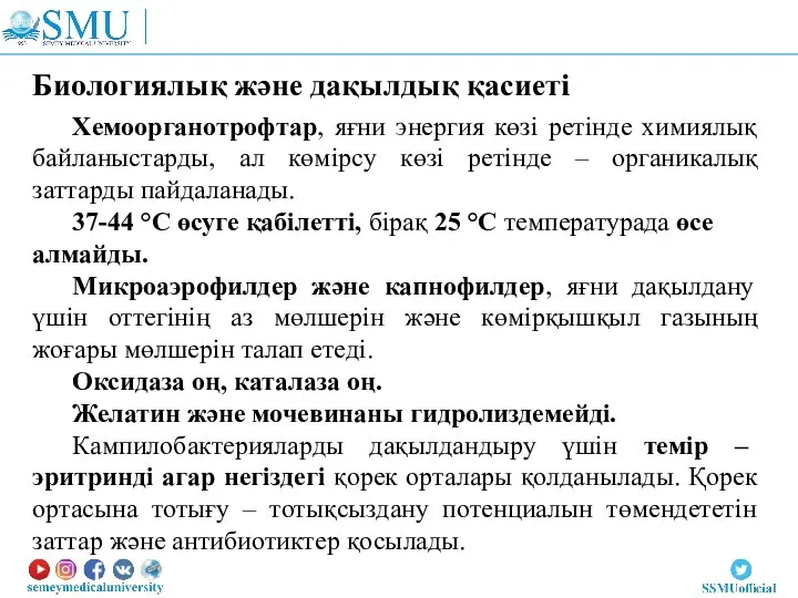 Хемоорганотрофтар, яғни энергия көзі ретінде химиялық байланыстарды, ал көмірсу көзі ретінде