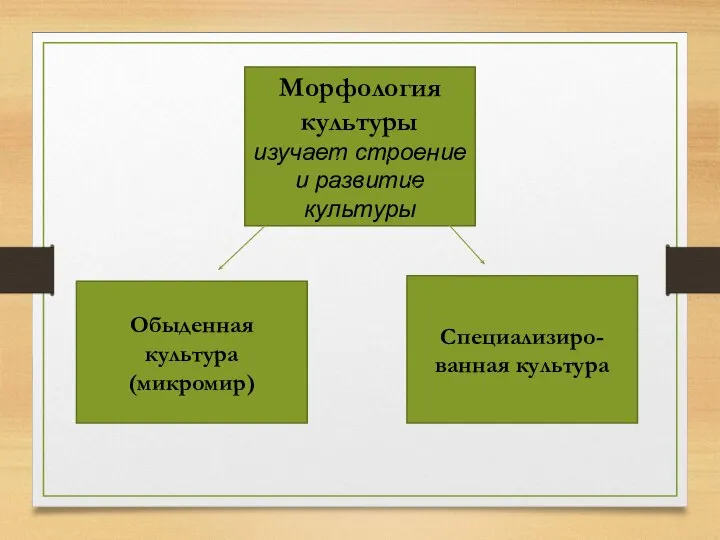 Морфология культуры изучает строение и развитие культуры Специализиро-ванная культура Обыденная культура (микромир)