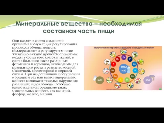 Минеральные вещества – необходимая составная часть пищи Они входят в состав