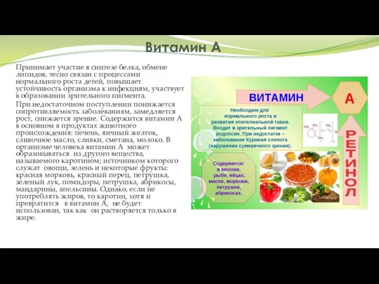 Витамин А Принимает участие в синтезе белка, обмене липидов, тесно связан