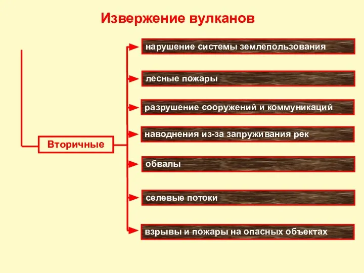 нарушение системы землепользования лесные пожары разрушение сооружений и коммуникаций наводнения из-за