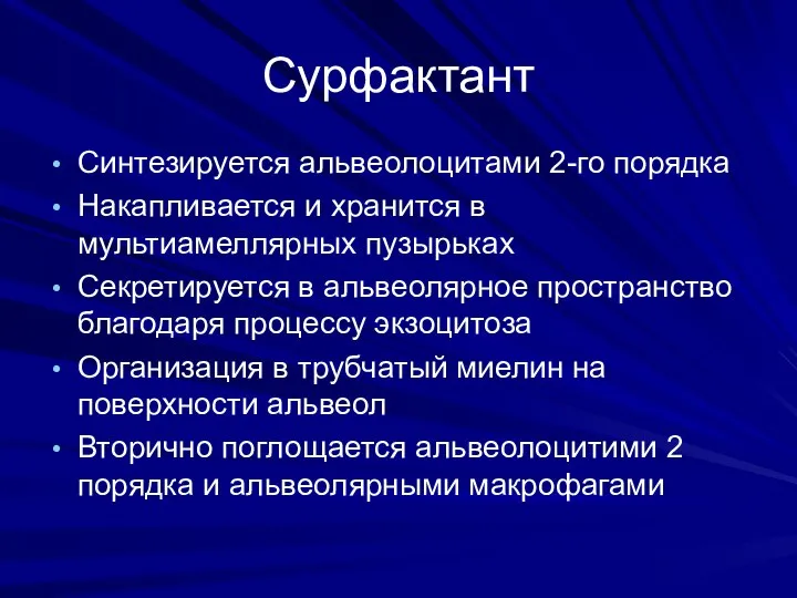 Сурфактант Синтезируется альвеолоцитами 2-го порядка Накапливается и хранится в мультиамеллярных пузырьках