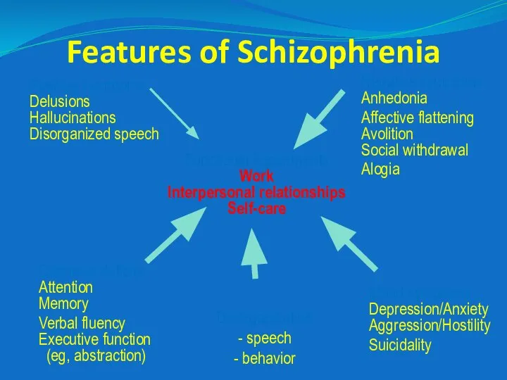 Features of Schizophrenia Positive symptoms Delusions Hallucinations Disorganized speech Cognitive deficits