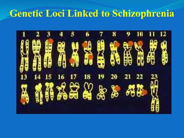 Genetic Loci Linked to Schizophrenia