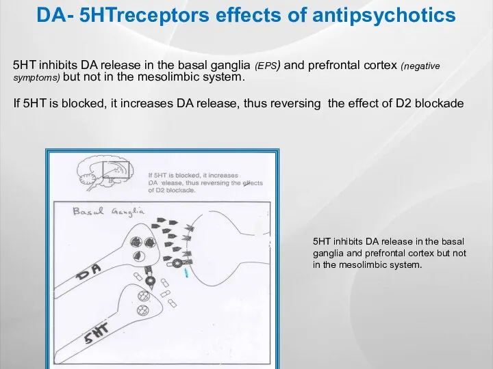 DA- 5HTreceptors effects of antipsychotics 5HT inhibits DA release in the