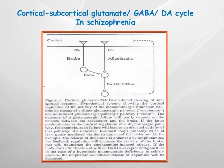 Cortical-subcortical glutamate/ GABA/ DA cycle In schizophrenia
