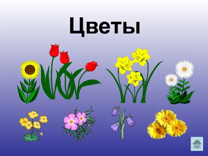 Цветы