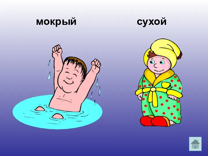 мокрый сухой