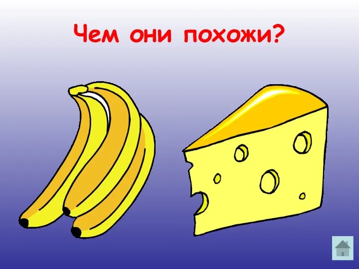 Чем они похожи?