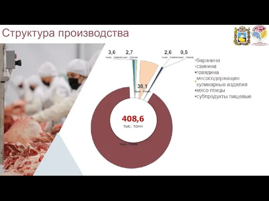 Структура производства 53,6% 408,6 тыс. тонн