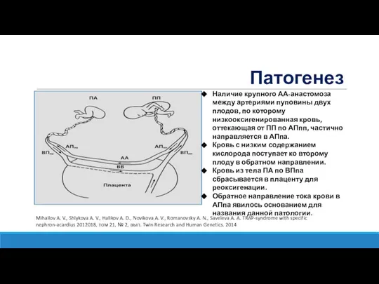 Патогенез Наличие крупного АА-анастомоза между артериями пуповины двух плодов, по которому