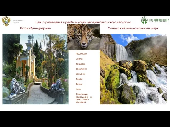 Сочинский национальный парк Парк «Дендрарий» Водопады Скалы Пещеры Дольмены Каньоны Флора
