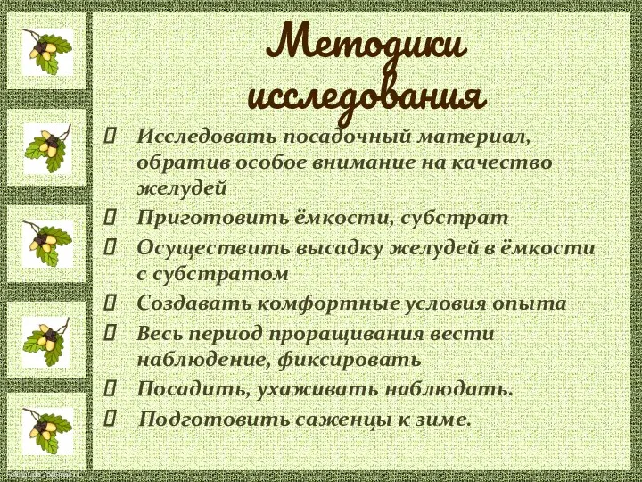 Методики исследования Исследовать посадочный материал, обратив особое внимание на качество желудей