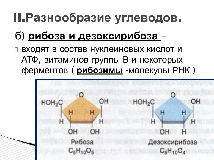 б) рибоза и дезоксирибоза – входят в состав нуклеиновых кислот и