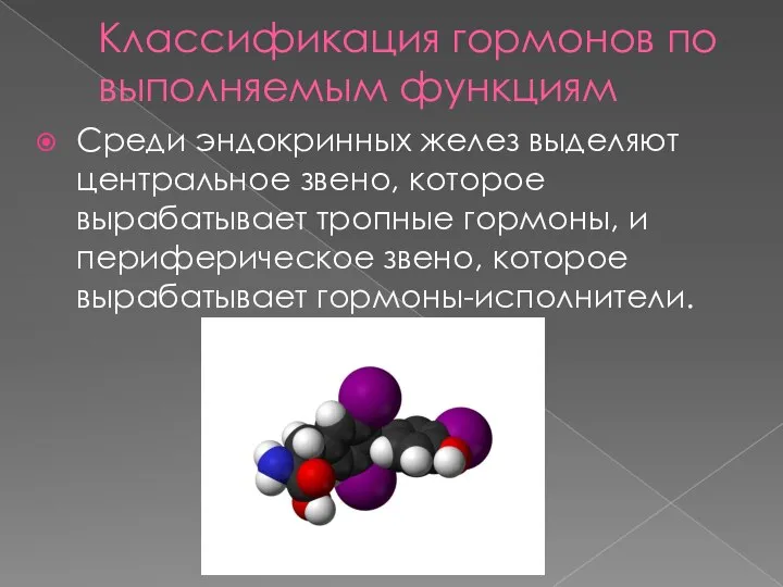 Классификация гормонов по выполняемым функциям Среди эндокринных желез выделяют центральное звено,