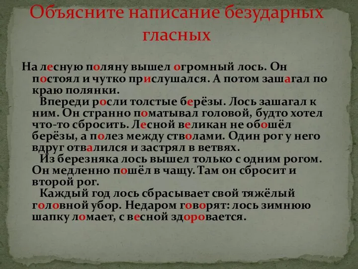 На лесную поляну вышел огромный лось. Он постоял и чутко прислушался.