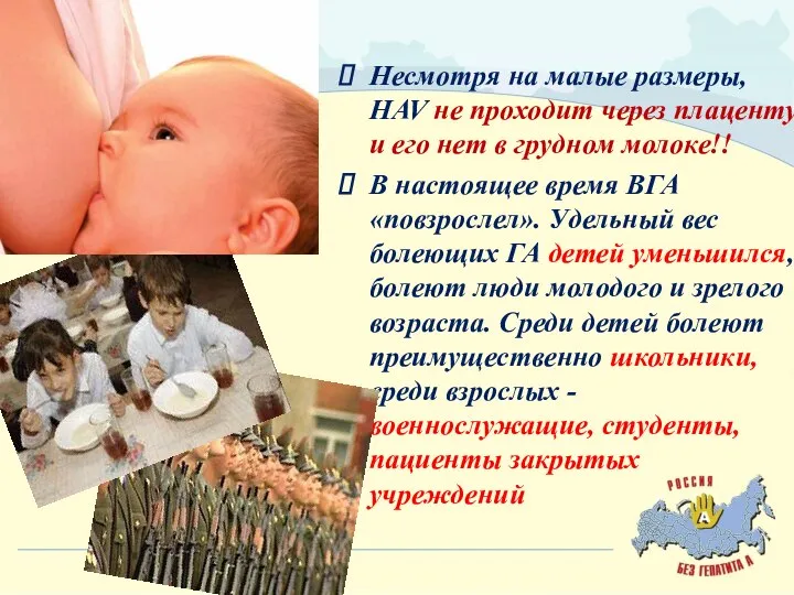 Несмотря на малые размеры, HAV не проходит через плаценту и его