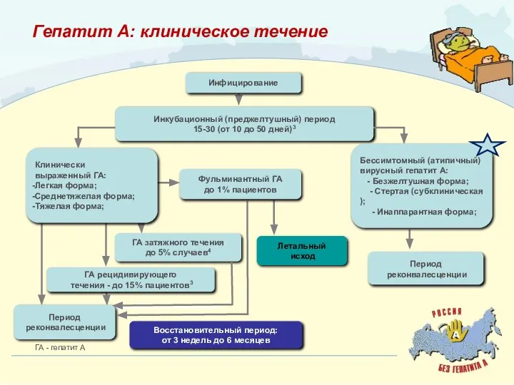 Инкубационный (преджелтушный) период 15-30 (от 10 до 50 дней)3 ГА затяжного