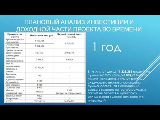 ПЛАНОВЫЙ АНАЛИЗ ИНВЕСТИЦИИ И ДОХОДНОЙ ЧАСТИ ПРОЕКТА ВО ВРЕМЕНИ В т.ч