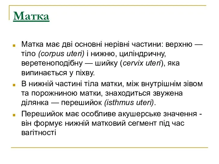 Матка Матка має дві основні нерівні частини: верхню — тіло (corpus