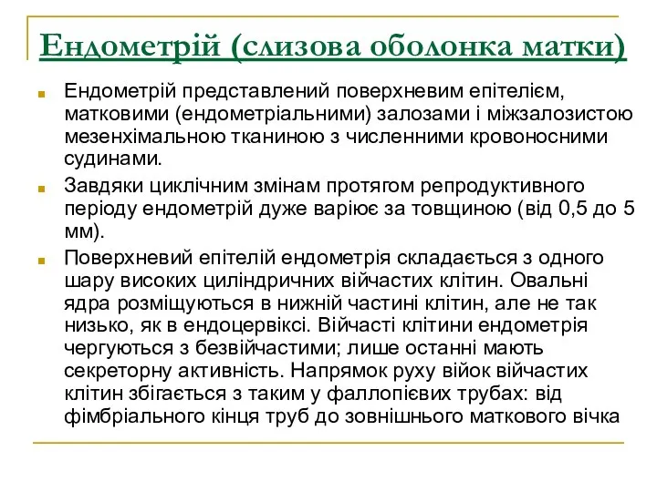 Ендометрій (слизова оболонка матки) Ендометрій представлений поверхневим епітелієм, матковими (ендометріальними) залозами