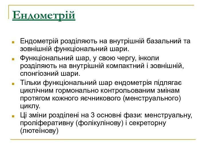 Ендометрій Ендометрій розділяють на внутрішній базальний та зовнішній функціональний шари. Функціональний