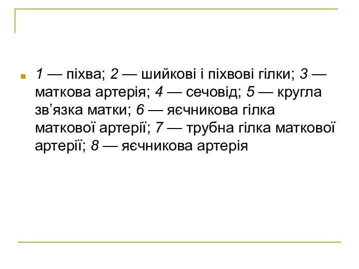 1 — піхва; 2 — шийкові і піхвові гілки; 3 —маткова