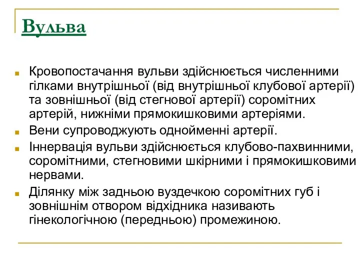 Вульва Кровопостачання вульви здійснюється численними гілками внутрішньої (від внутрішньої клубової артерії)