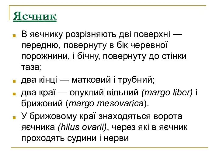 Яєчник В яєчнику розрізняють дві поверхні — передню, повернуту в бік