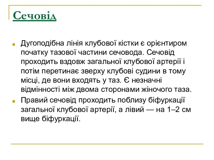 Сечовід Дугоподібна лінія клубової кістки є орієнтиром початку тазової частини сечовода.