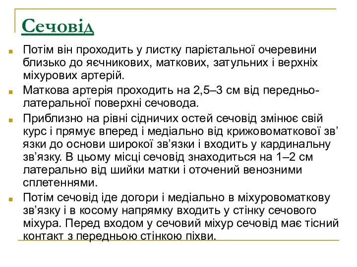 Сечовід Потім він проходить у листку парієтальної очеревини близько до яєчникових,