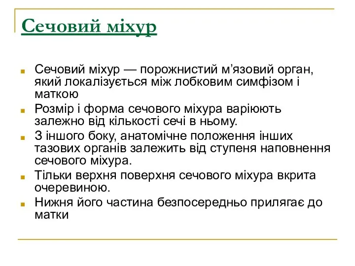 Сечовий міхур Сечовий міхур — порожнистий м’язовий орган, який локалізується між