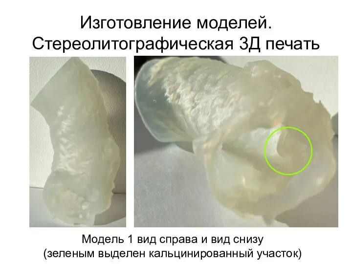 Изготовление моделей. Стереолитографическая 3Д печать Модель 1 вид справа и вид снизу (зеленым выделен кальцинированный участок)