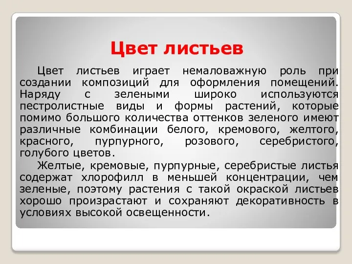 Цвет листьев Цвет листьев играет немаловажную роль при создании композиций для