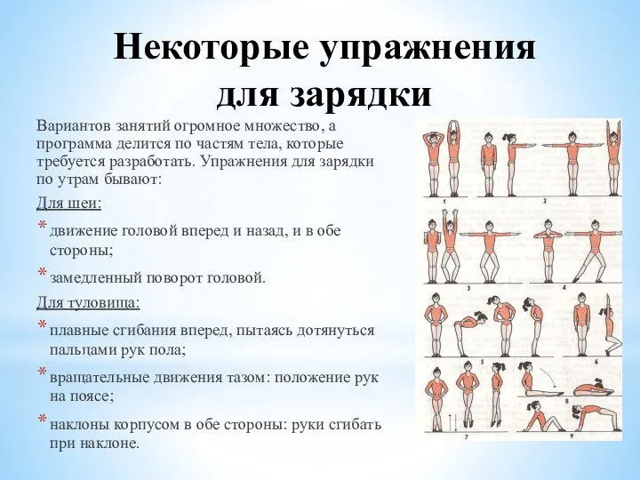 Некоторые упражнения для зарядки Вариантов занятий огромное множество, а программа делится