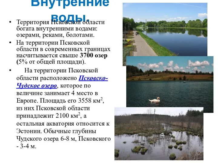 Внутренние воды. Территория Псковской области богата внутренними водами: озерами, реками, болотами.