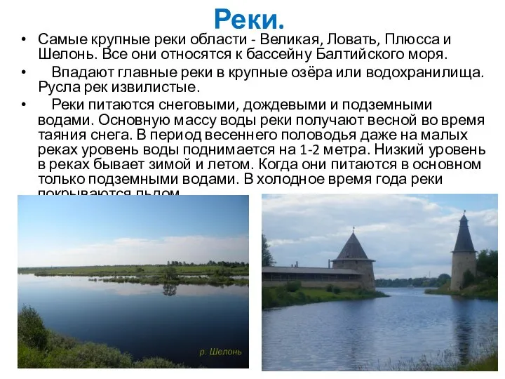 Реки. Самые крупные реки области - Великая, Ловать, Плюсса и Шелонь.