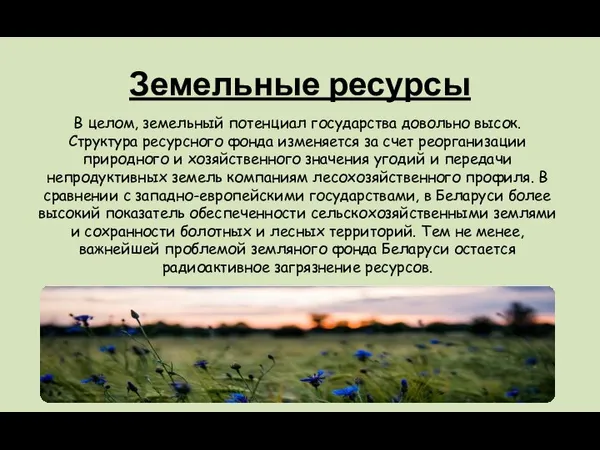 Земельные ресурсы В целом, земельный потенциал государства довольно высок. Структура ресурсного