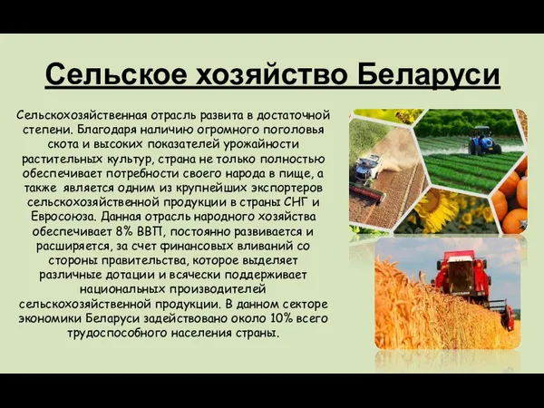 Сельское хозяйство Беларуси Сельскохозяйственная отрасль развита в достаточной степени. Благодаря наличию