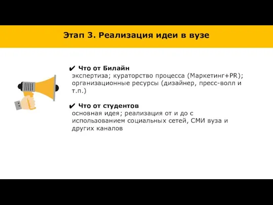 Этап 3. Реализация идеи в вузе Что от Билайн экспертиза; кураторство