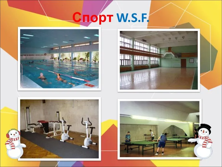 Спорт W.S.F.