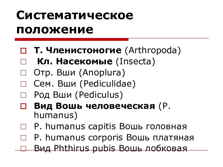 Систематическое положение Т. Членистоногие (Arthropoda) Кл. Насекомые (Insecta) Отр. Вши (Anoplura)