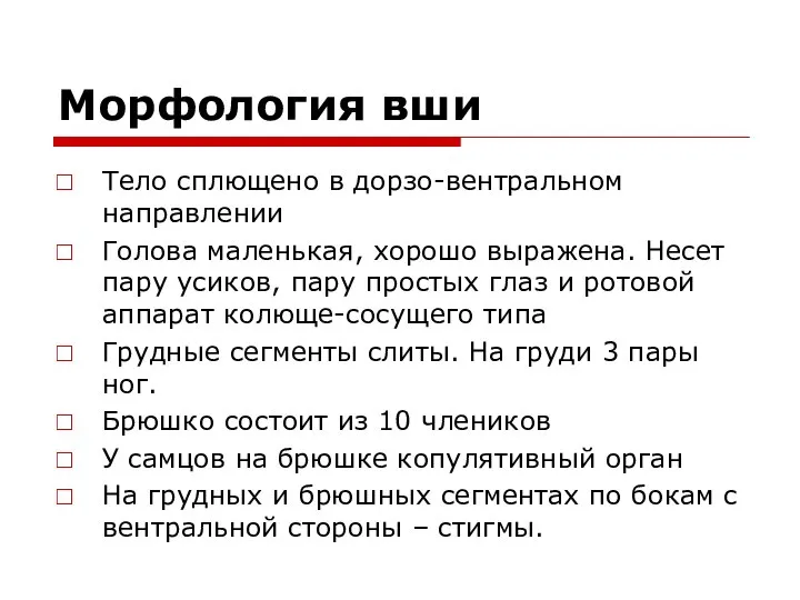 Морфология вши Тело сплющено в дорзо-вентральном направлении Голова маленькая, хорошо выражена.