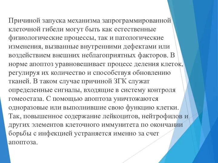 Причиной запуска механизма запрограммированной клеточной гибели могут быть как естественные физиологические