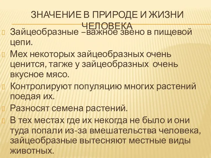 ЗНАЧЕНИЕ В ПРИРОДЕ И ЖИЗНИ ЧЕЛОВЕКА Зайцеобразные –важное звено в пищевой