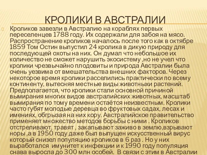 КРОЛИКИ В АВСТРАЛИИ Кроликов завезли в Австралию на кораблях первых переселенцев