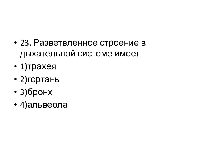 23. Разветвленное строение в дыхательной системе имеет 1)трахея 2)гортань 3)бронх 4)альвеола